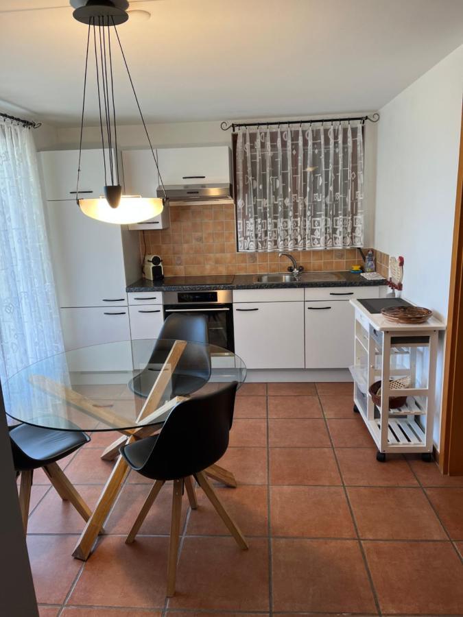 Green View Apartments Tenero-Contra 外观 照片