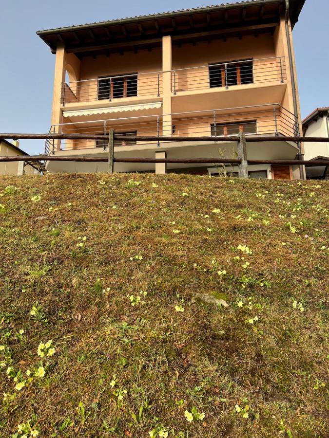 Green View Apartments Tenero-Contra 外观 照片